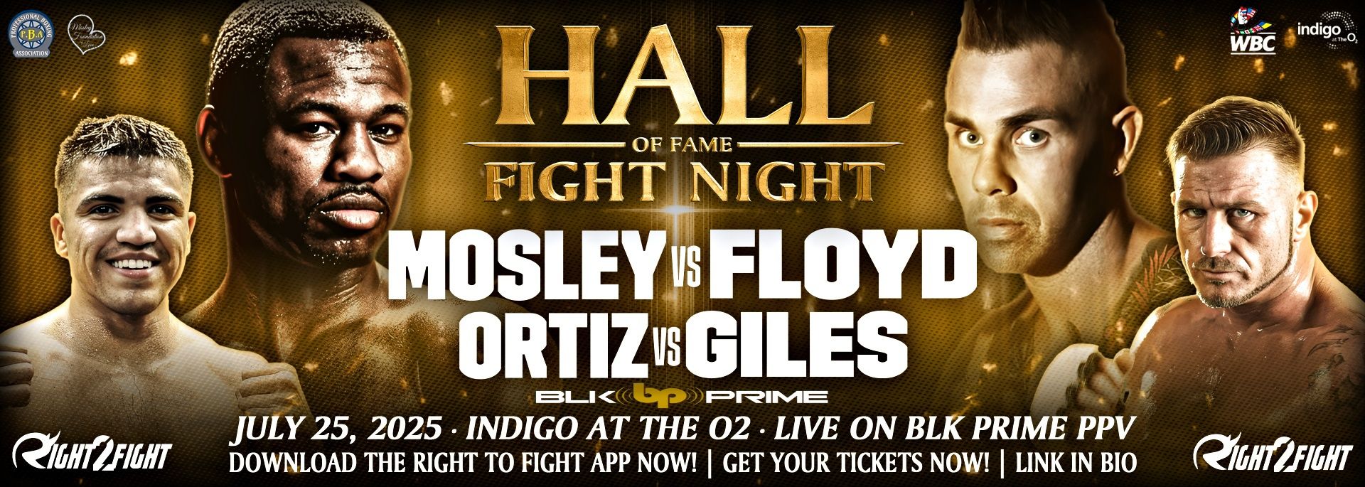 HALL OF FAME FIGHT NIGHT
