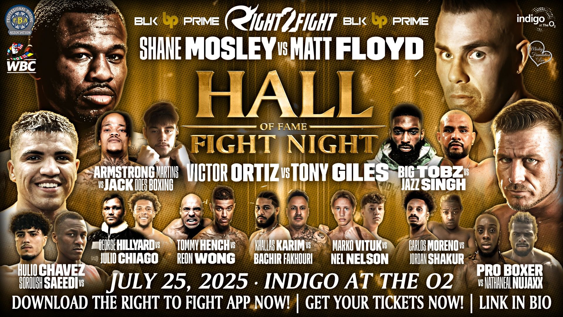 HALL OF FAME FIGHT NIGHT