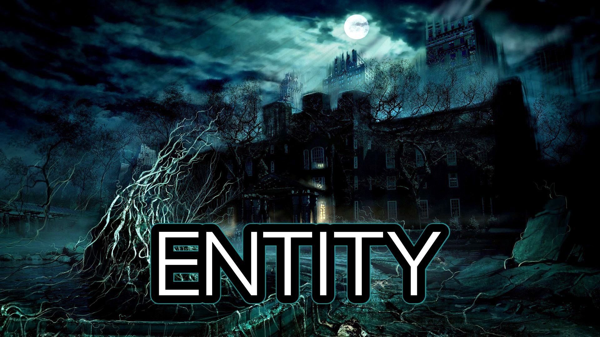 Entity 