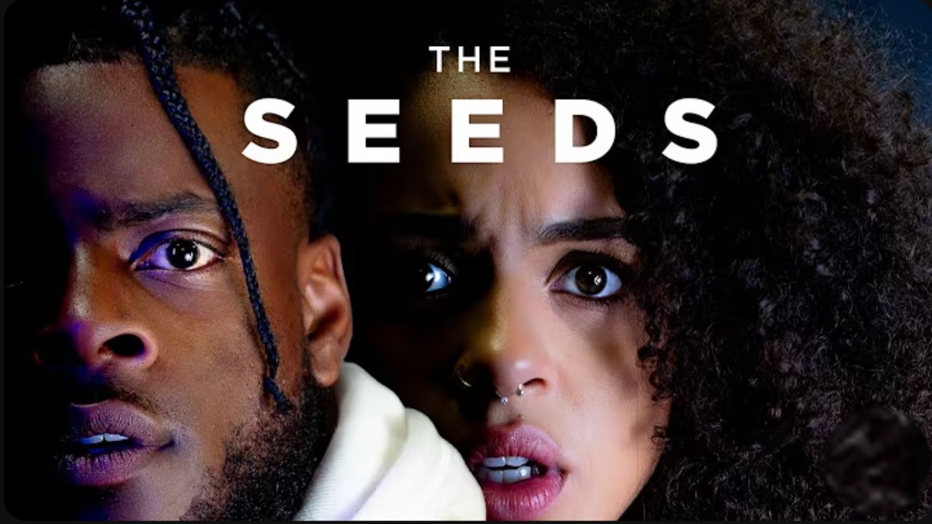 The Seeds