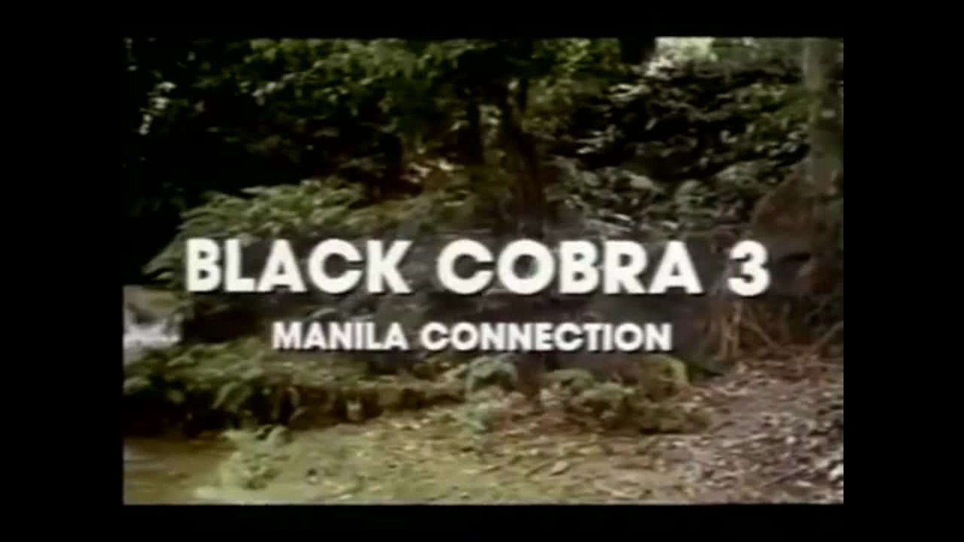 Black Cobra 3 The Manila Connection