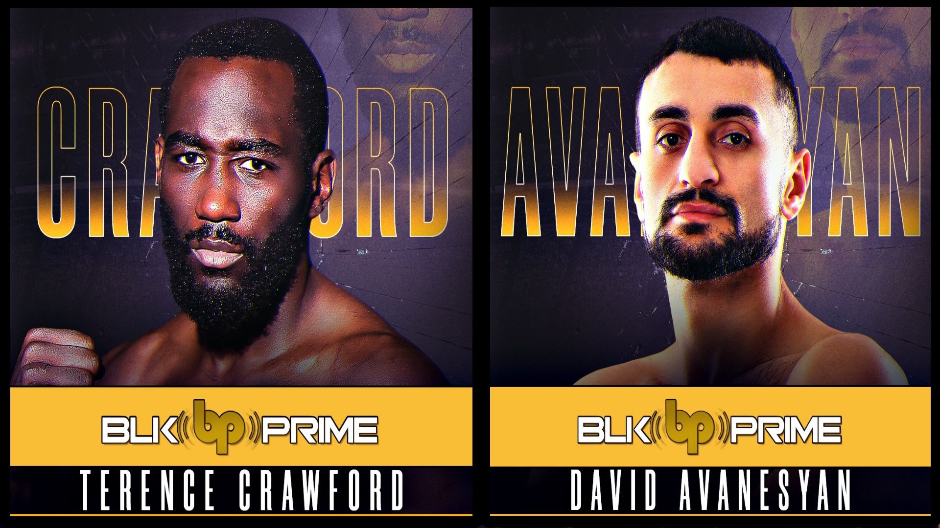 Terence Crawford Vs David Avanesyan