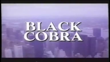 Black Cobra