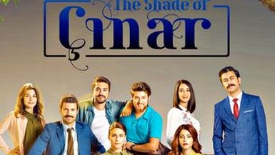 The Shade Of Cinar